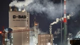 : BASF: Der nächste Nackenschlag