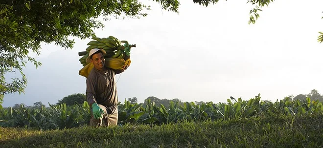 Total Produce&#8209;Aktie: Verdeckte Schulden &#8209; lohnt sich denn ein Investment? (Foto: Börsenmedien AG)