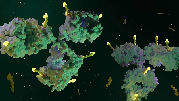 CatalYm: Biotech‑Hoffnung aus München holt weitere Top‑Investoren an Bord – die Hintergründe