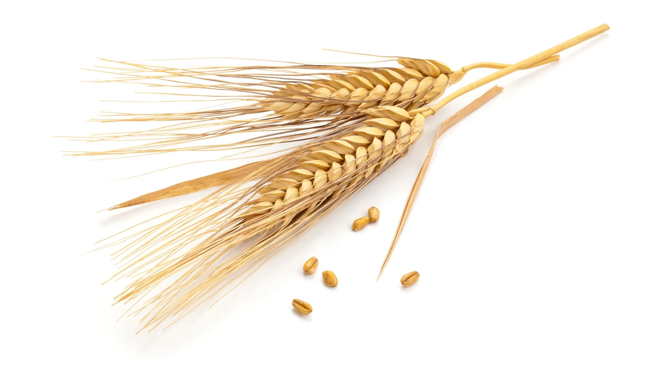 Top Tipp Derivate: Das Jahr der Wende