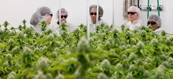 Börse on air: Hanf&#8209;Aktienfonds Cansoul &#8209; "Hanf und Cannabis Aktien sind die Gewinner aus Q1" (Foto: Börsenmedien AG)