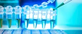 Evotec: TSI‑Wert Evotec: Mit Bayer in eine neue Dimension