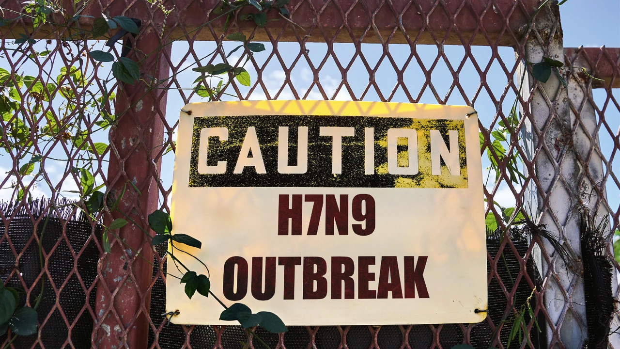 Werden die Eier wieder knapp?