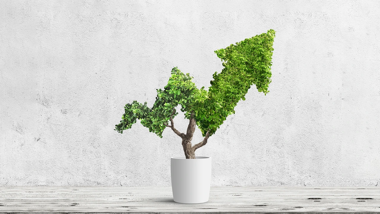 Allianz, Starbucks und Co: Bei diesen 5 Aktien ist Grün Trumpf