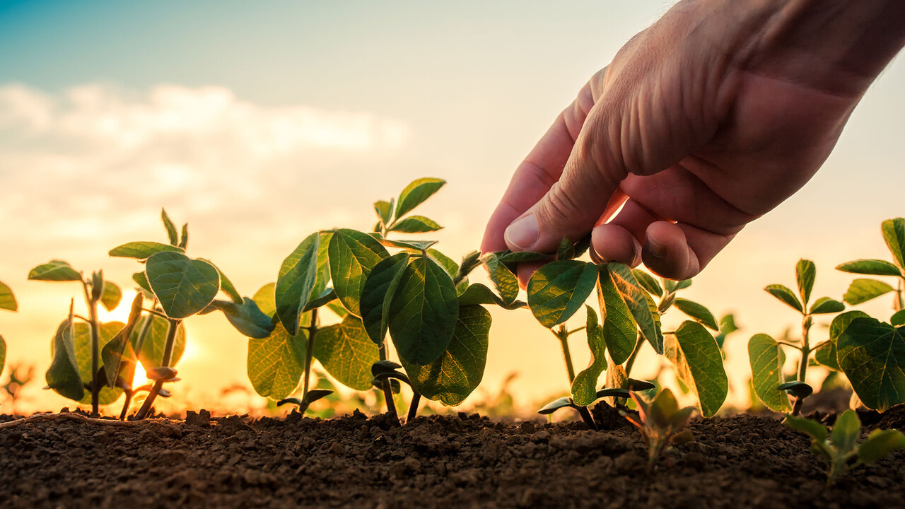 BASF: Zwei sinnvolle Projekte