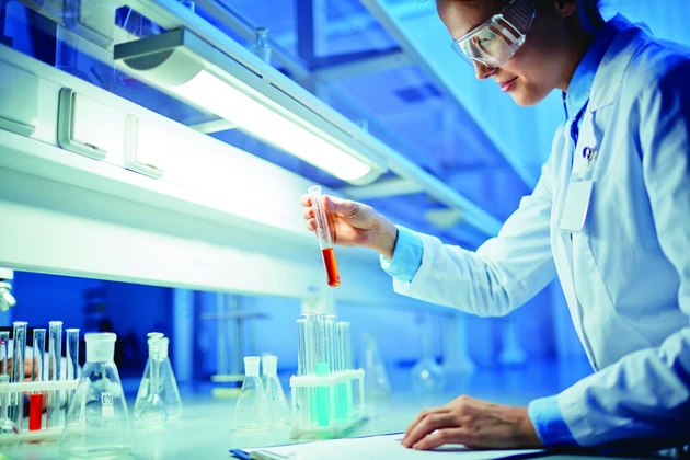 Medigene‑Partner Bluebird Bio: Kooperation mit Merck – Aktie vor dem nächsten Kursschub