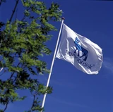 Novo Nordisk: Schlag‑den‑Buffett‑Depot‑Wert Novo Nordisk: Starker Ausblick, höheres Kursziel 