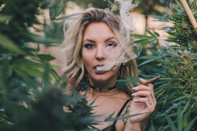 Canopy Growth und Aurora können nicht mithalten: Cannabis‑Hot‑Stock‑Village Farms nimmt Kurs Richtung Allzeithoch