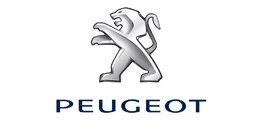 Peugeot&#8209;Markenchef Picat: "Nicht nur auf Europa ausgerichtet" (Foto: Börsenmedien AG)