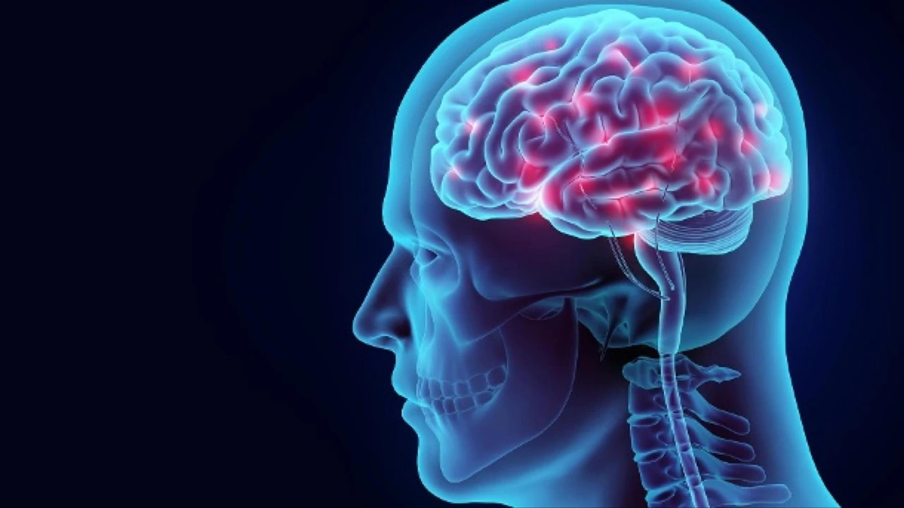 BioMarin Pharmaceutical mit neuen Langzeit-Daten zu Brineura gegen Kinderdemenz (CLN2-Krankheit). Unternehmen bleibt ein Übernahmekandidat, dieses Jahr wichtige Hämophilie-Studiendaten auf der Agenda.