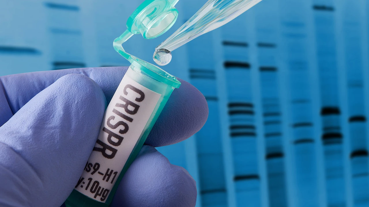 Cathie Wood kauft und kauft – doch AKTIONÄR-Depot-Wert CRISPR fällt?