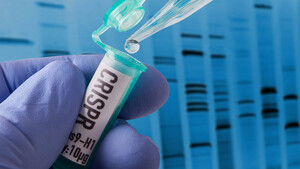 Cathie Wood kauft und kauft – doch AKTIONÄR‑Depot‑Wert CRISPR fällt?  / Foto: Bill Oxford/iStockphoto