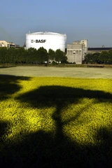 DAX: BASF vor den Zahlen: Jahresprognose in Gefahr?