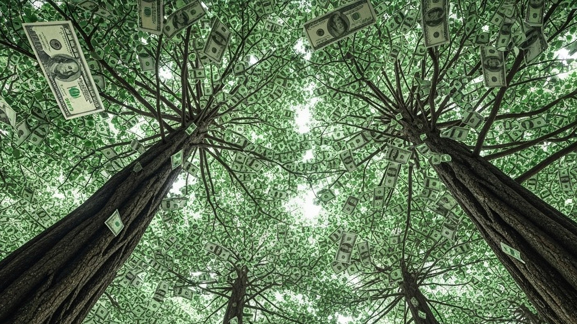 "Mammutbäume" fürs Depot: Minimum 150% Gesamtrendite in 10 Jahren (Foto: ChriHo/shutterstock-KI)