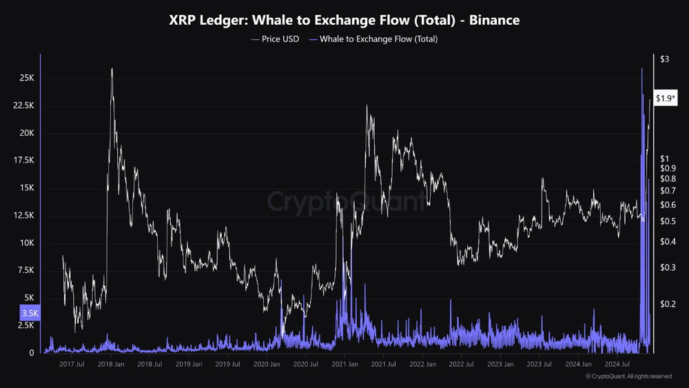 XRP Whale activity