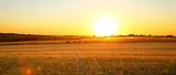 Solarworld: Solarworld‑Aktie: Umsatzwarnung und Mini‑Gewinn