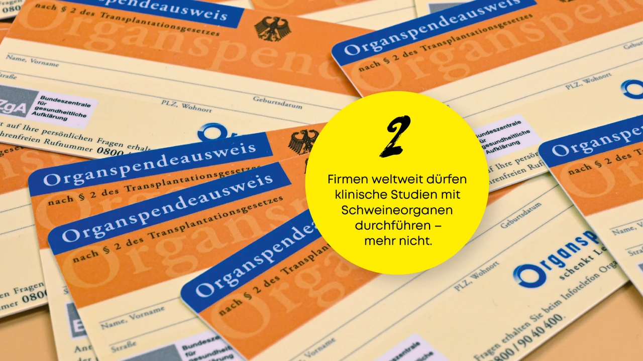 Das Tier in dir