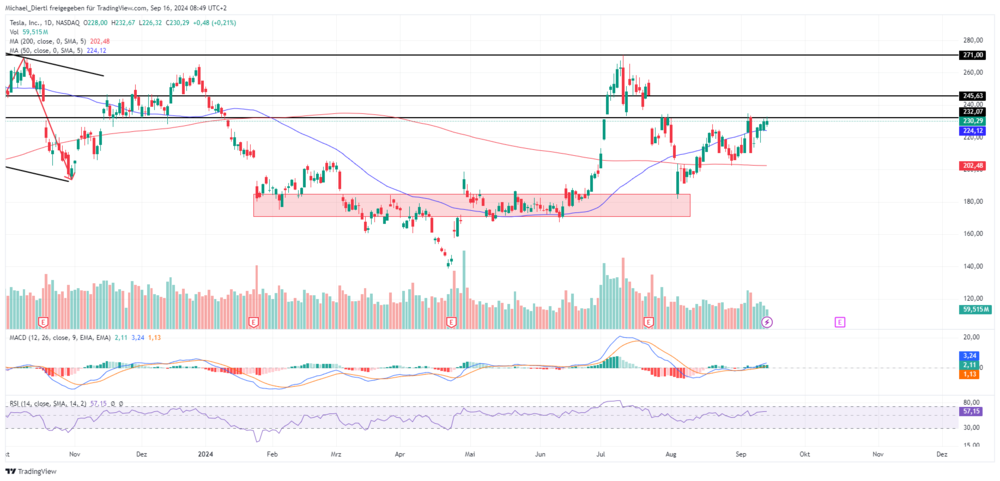 Tesla Tageschart in Dollar