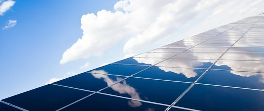 Kompletter Kollaps? Der Solar-Bär ist zurück