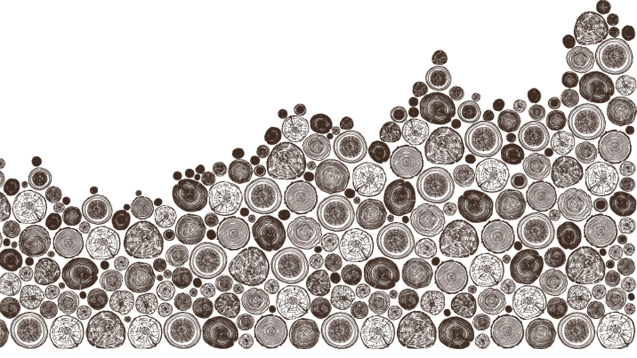 West Fraser Timber: Goldene Zeiten für Holzfirmen