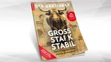 : Stabile Werte, satte Gewinne: Diese Aktien‑Klassiker gehören in jedes Depot
