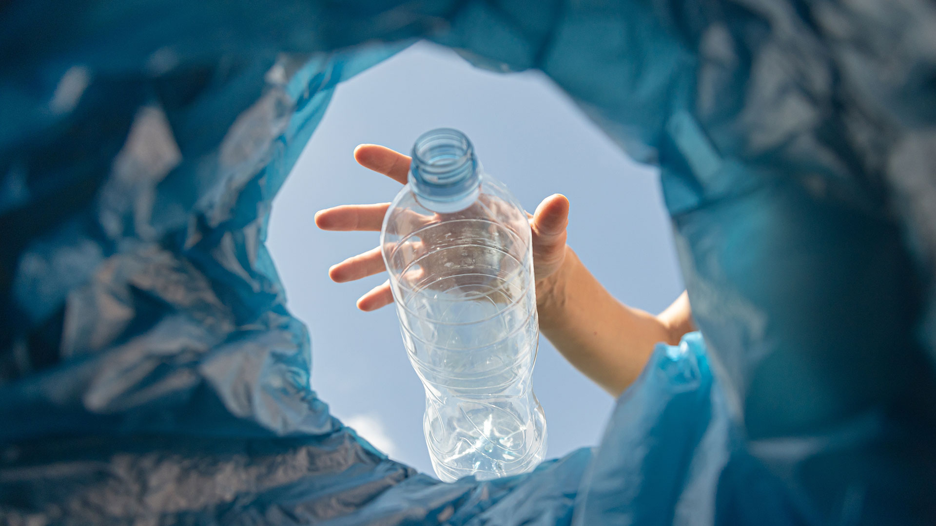 Verdopplerchance voraus: Dieser Recyclingchampion setzt neue Maßstäbe (Foto: xalien/Shutterstock)