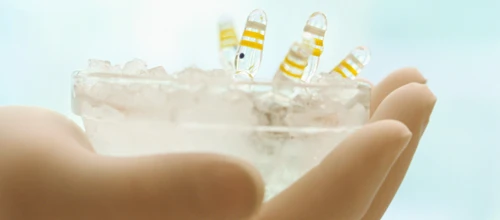 Aktien-Experten: Morphosys überrascht wieder positiv
