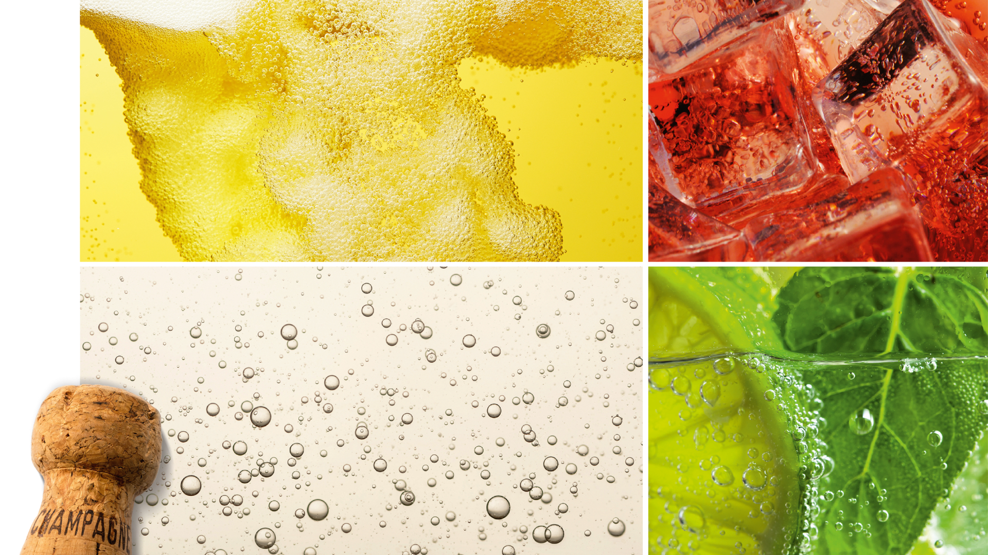 Die Krüge hoch! Diese Aktien haben ihre Durststrecke hinter sich (Foto: kokoroyuki/iStock, dkidpix/iStock, Pitijopo/iStock, igorr1/iStock, alenkadr/iStock, eldadcarin/iStock, pidjoe/iStock)