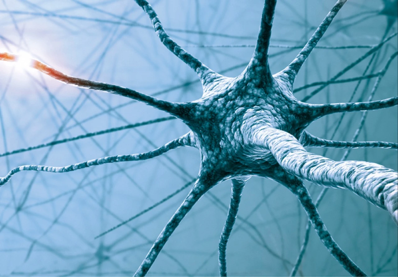 Biogen unter Druck - Chancen steigen, dass Mylan einen Patentstreit bei MS-Medikament gewinnt. Beide Aktien aktuell kein Kauf.