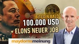 BYD: Die besten Bitcoin‑Aktien, Tesla im Trump‑Fieber, Super Micro in höchster Gefahr