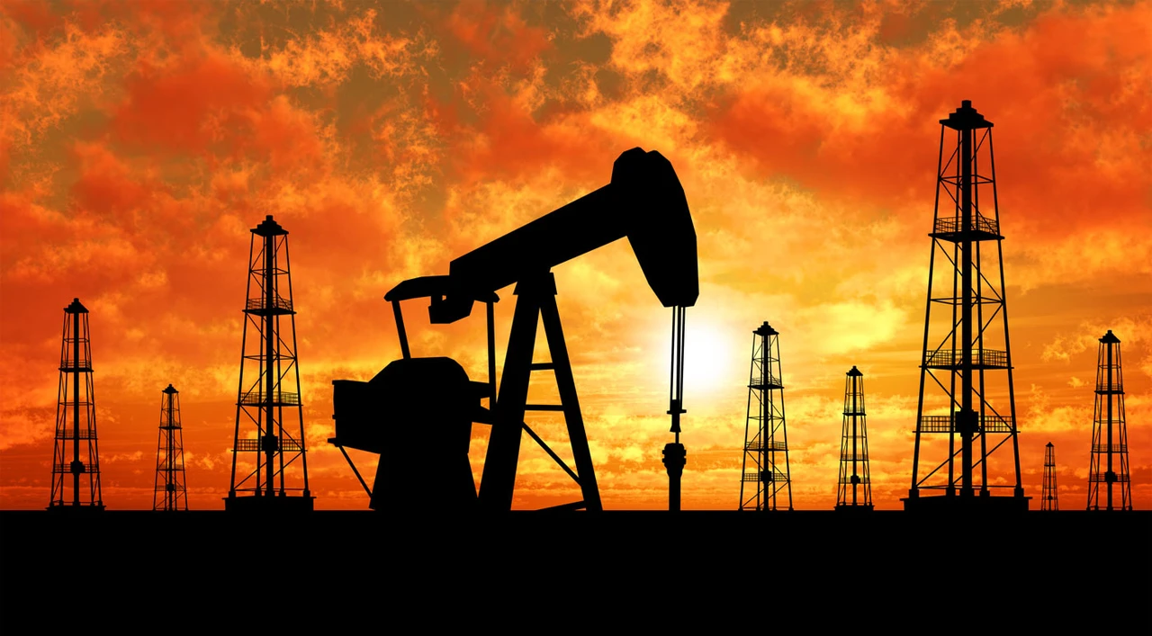 Royal Dutch Shell: Danke, OPEC!