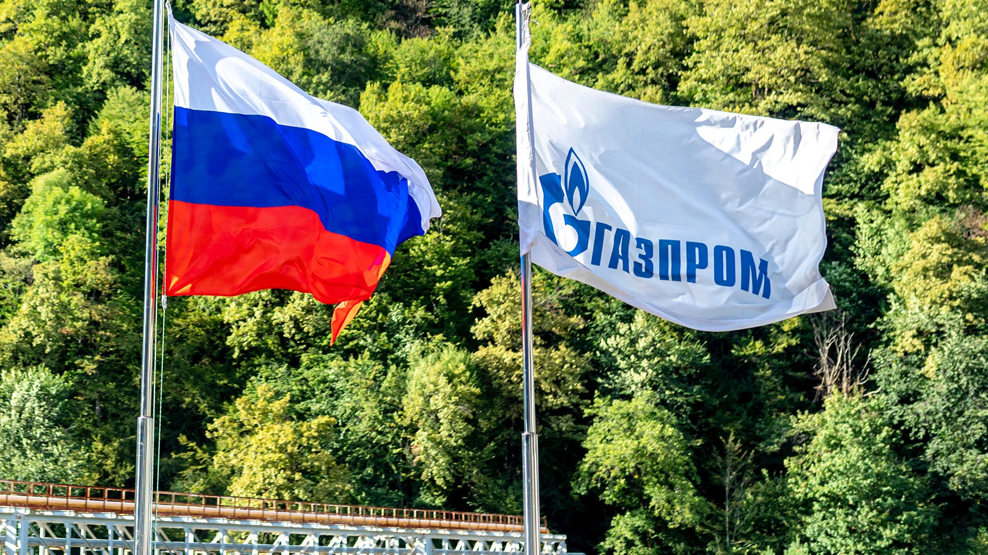 Gazprom, Lukoil & Co.: Das Geld aus ADRs ist endgültig weg (Foto: LariBat/Shutterstock)