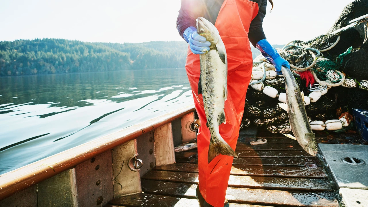 Trading-Tipp Mowi: Schmeckt auch in der Krise – Lachs-Aktie mit Top-Kaufsignal