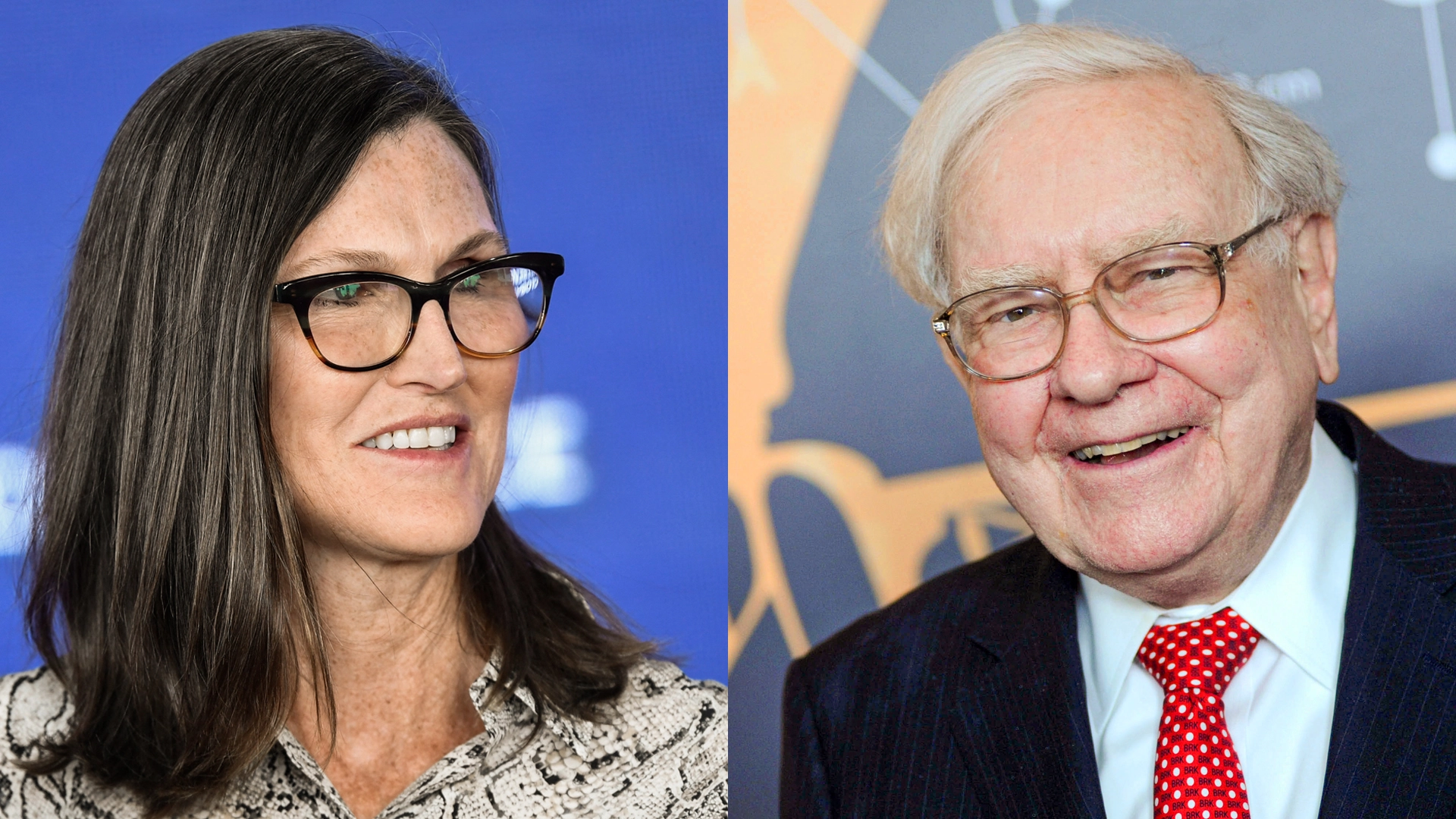 Nicht Nvidia: Cathie Wood und Warren Buffett schwören jetzt auf diese bekannte KI&#8209;Aktie (Foto: Patrick T. Fallon/AFP/Getty Images, zz/Dennis Van Tine/STAR MAX/IPx/picture alliance [M])