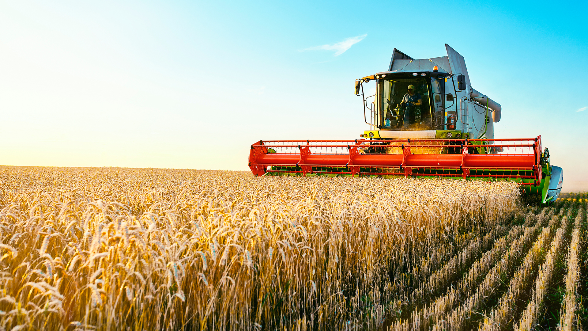 BO Agrar und Nahrung Index: HSBC setzt diese Aktie auf die Kaufliste  (Foto: Shutterstock)