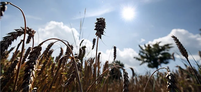 Richtige Landnutzung ist der Schlüssel zum Klimaschutz (Foto: Börsenmedien AG)