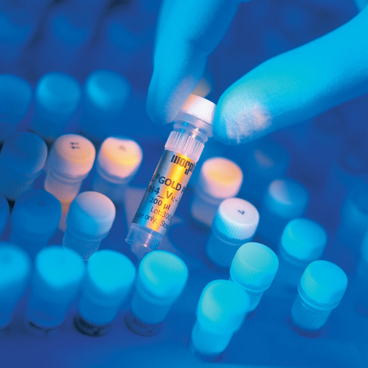 Morphosys-Aktie mit Befreiungsschlag – Analysten überschlagen sich