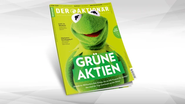 Grüne Aktien: Hunderte Milliarden fürs Klima, bis zu 100 Prozent für Anleger –  das sind die Top‑Gewinner an der Börse