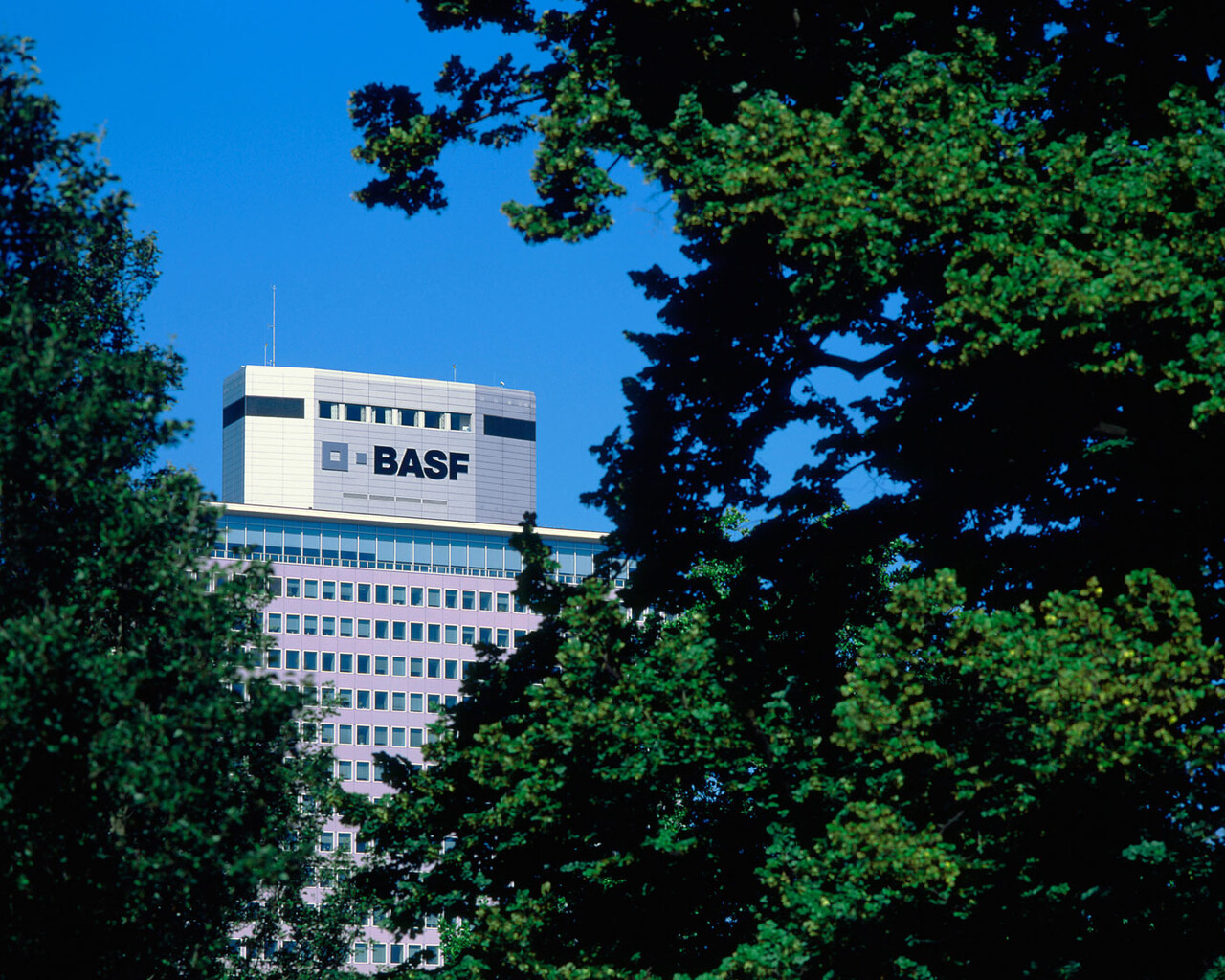 BASF: Keine Angst vor Tesla, BYD & Co