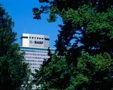 BASF: BASF: Keine Angst vor Tesla, BYD & Co