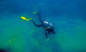 TUI‑Aktie taucht immer weiter ab: Wo findet der Touristik‑Wert endlich einen Boden?  / Foto: TUI