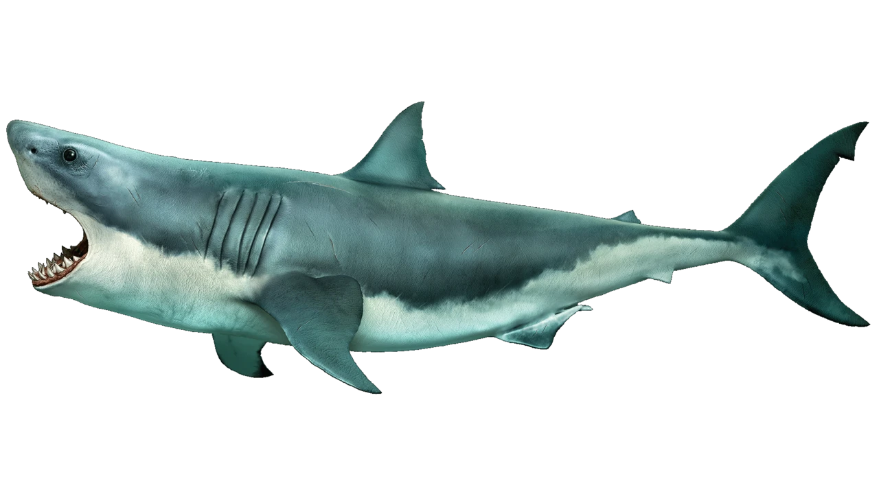 Rendite Hunger: Gewinne trotz Handelskrieg & Co – mit Gold, Bitcoin und diesen Aktien