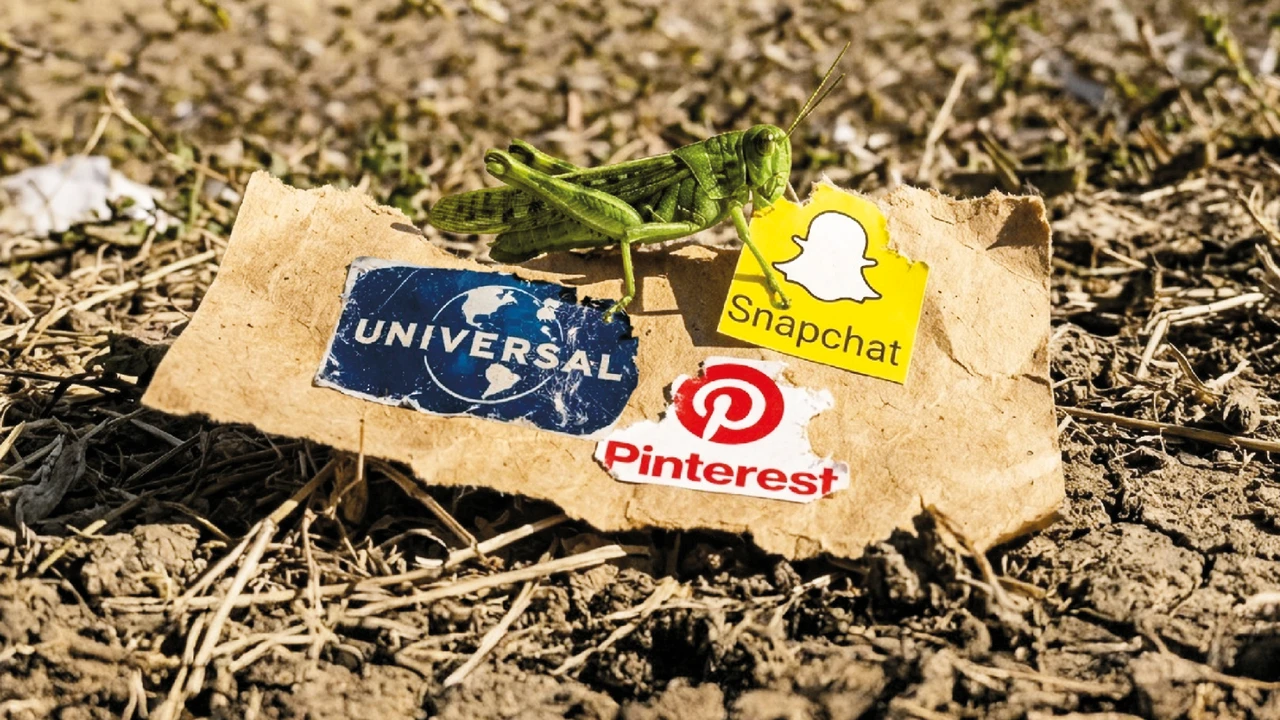 Meta, Snap und Pinterest: Auf diese Social‑Media‑Aktie setzen Anleger jetzt