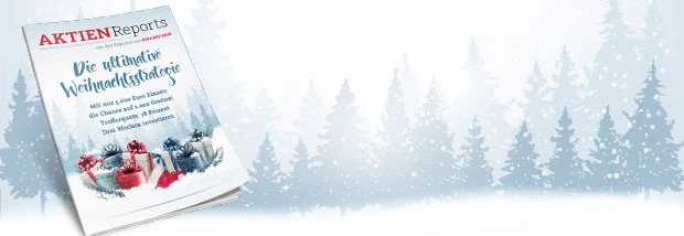 Rallye im Bärenmarkt? Die ultimative Weihnachtsstrategie