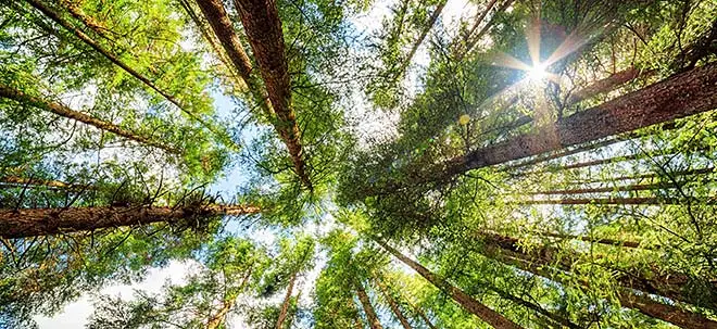 Nachhaltigkeitsstrategien bei Investoren gefragt: "In ESG&#8209;ETFs steckt sehr viel mehr Dynamik" (Foto: Börsenmedien AG)