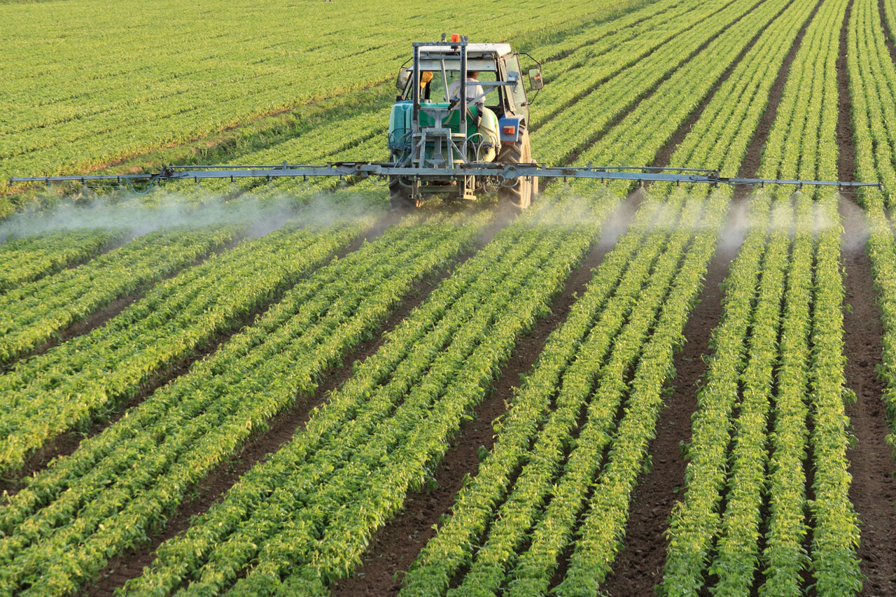 K+S, Nutrien und SQM: Dünger fürs Depot