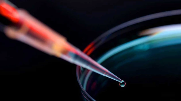 AKTIONÄR‑Empfehlung Synlab: Aktie auf Rekordhoch – das beflügelt