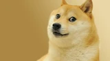 Dogecoin: Dogecoin: Wird der ETF Wirklichkeit?