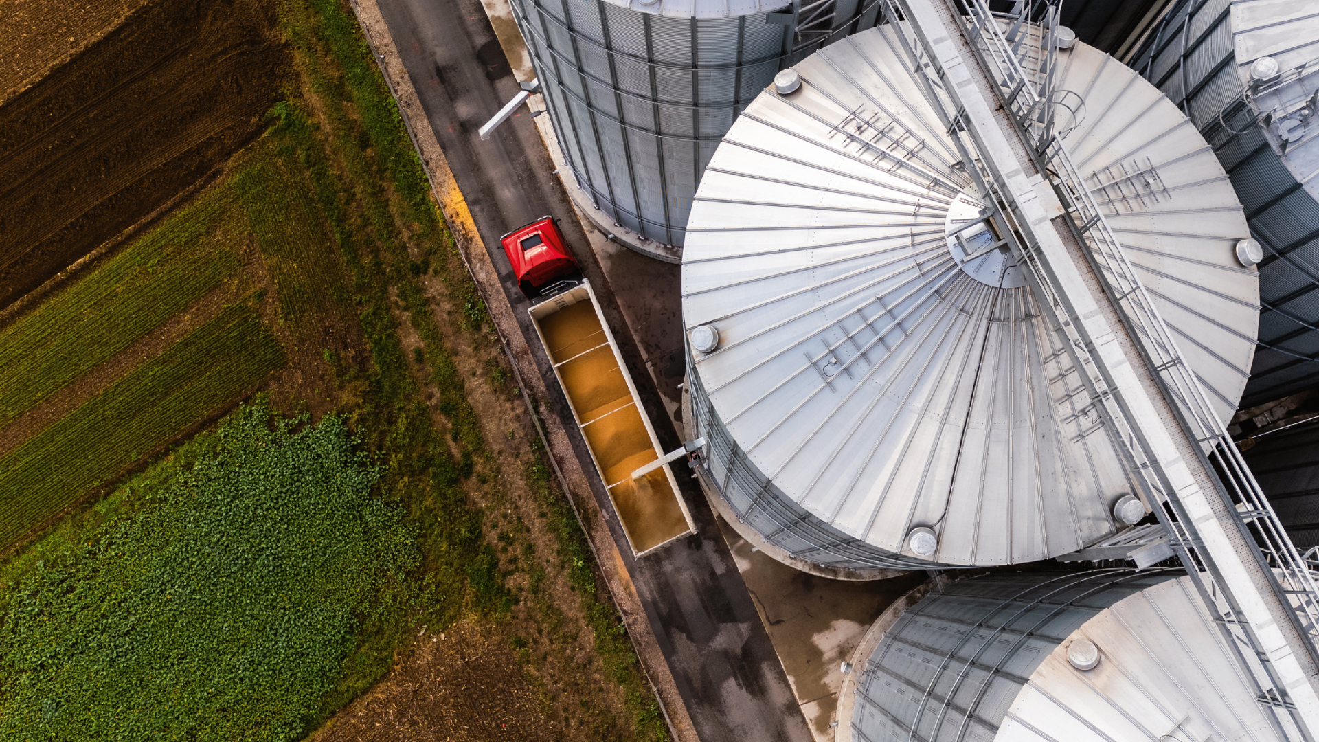 Aktie von unbekanntem ­US‑Gigant profitiert massiv: Jetzt einsteigen?  (Foto: SimonSkafar/iStock)