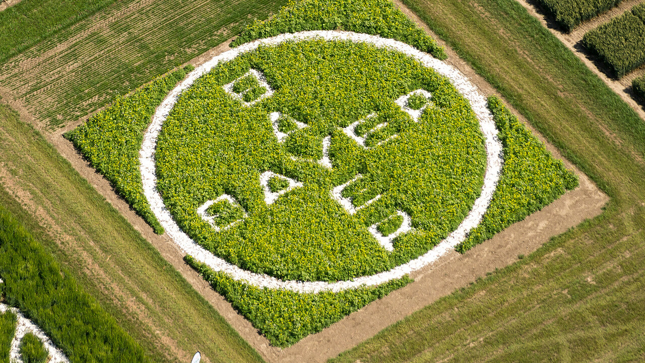 Bayer: Entscheidung vertagt